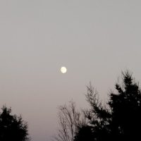 IMG_20230730_210642