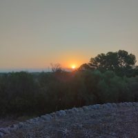 IMG_20230803_070134